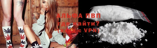 дмт Белокуриха