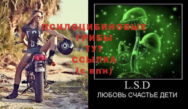 дмт Белокуриха