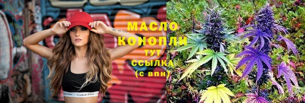 дмт Богданович