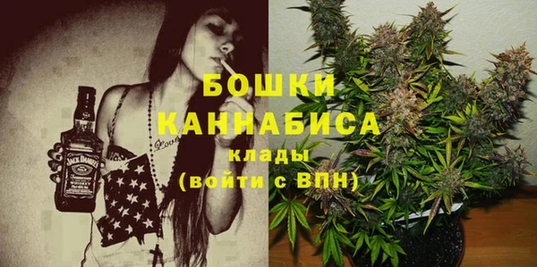 дмт Белокуриха