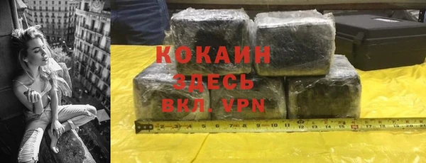 дмт Богданович